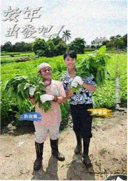 声生不息
